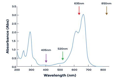 Absorbance vs Wavelength Graph: A Comprehensive Guide to Understanding the Spectrum of Light