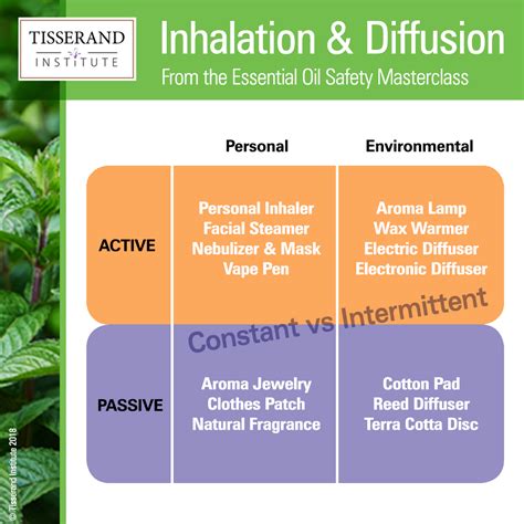 Absorption and Diffusion of Essential Oils: