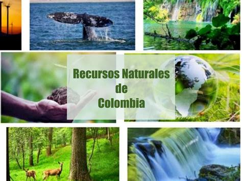 Abundantes recursos naturales: