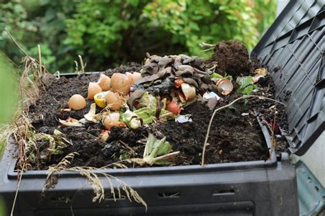 Accelerated Composting: