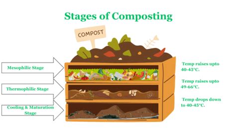 Accelerated Composting Process: