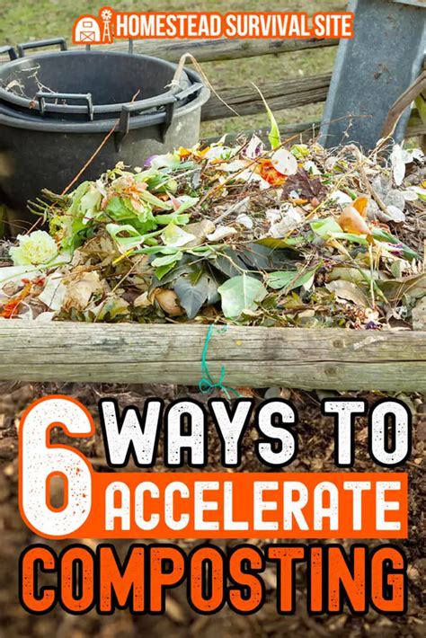 Accelerates Composting Process: