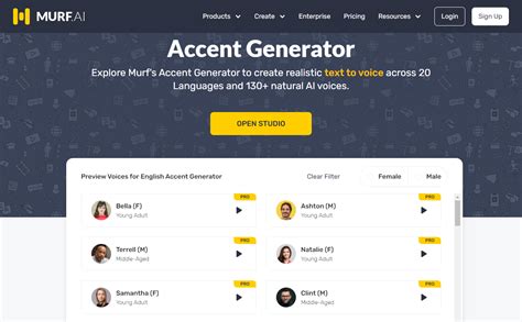 Accent AI Generator 101