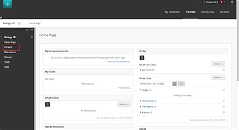 Access Your Course Materials and Grades