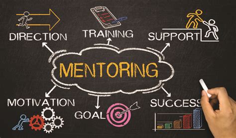 Access to Expertise and Mentorship: