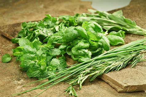 Access to Fresh, Organic Herbs: