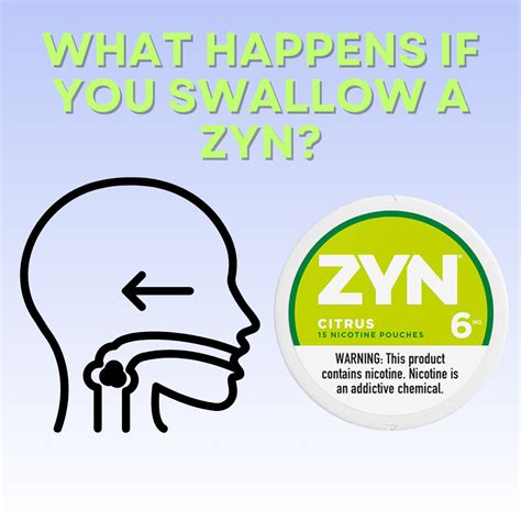 Accidentally Swallowed a Zyn? Here's What You Should Do