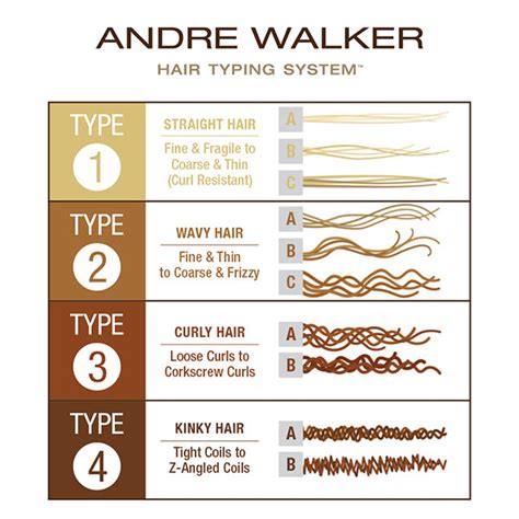 According to the Andre Walker Hair Typing System: