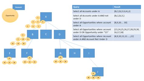 Account-Related Queries: