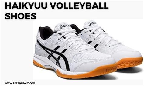 Achieving Excellence in the Court with Haikyuu Shoes: A Comprehensive Guide for Every Player