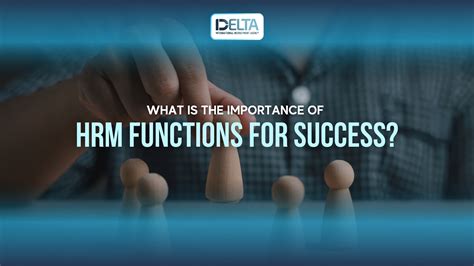 Achieving Workplace Success: The Paramount Importance of Auxiliary Functions