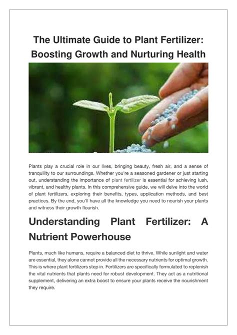 Acid-Loving Plant Fertilizer: The Ultimate Guide to Boosting the Health of Your Plants