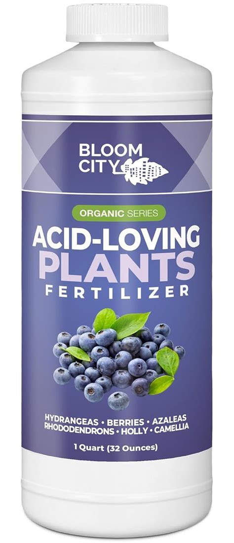 Acidic Plant Fertilizer: 5 Tips for Healthy, Thriving Plants