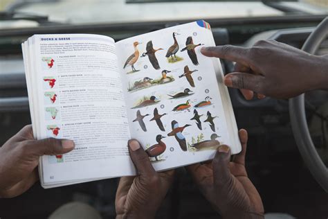 Acquire a Field Guide: