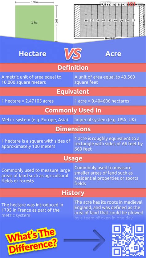 Acre vs Hectare: The Ultimate Guide to Measuring Land Area