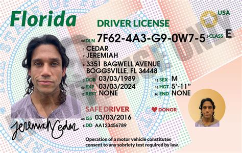 Act Fast! Here's How to Recover from a Stolen FL Driver's License