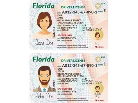 Act Fast! Here's How to Recover from a Stolen FL Driver's License and Protect Your Identity