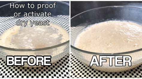 Activate the Yeast: