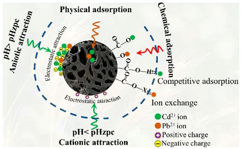 Activated carbon adsorption: