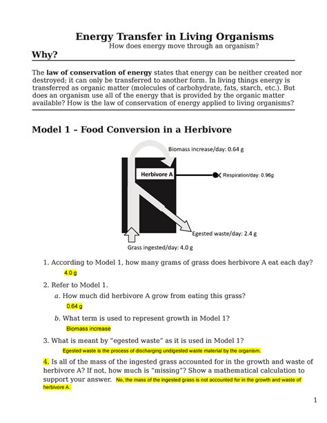 Active Section Energy And Living Things Answers Epub