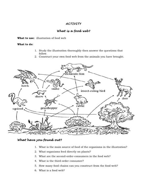 Activity 6 Food Web Worksheet Answer Key Doc