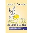 Acts The Gospel of the Spirit Reader