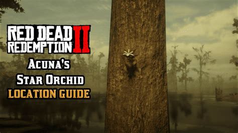 Acuna's Star Orchid in Red Dead Redemption 2: A Comprehensive Exploration