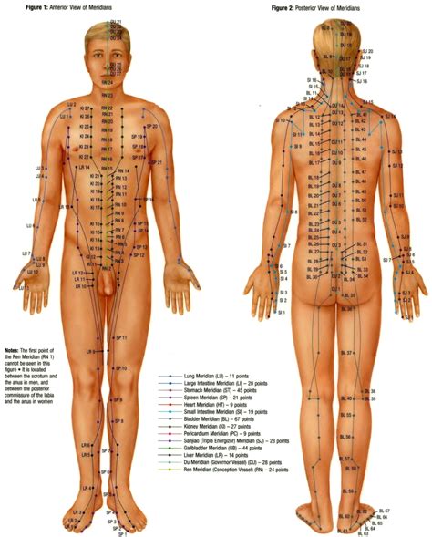 Acupressure Chart Points and Meridians PDF