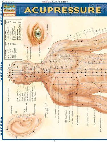 Acupressure Quickstudy Academic Inc BarCharts PDF