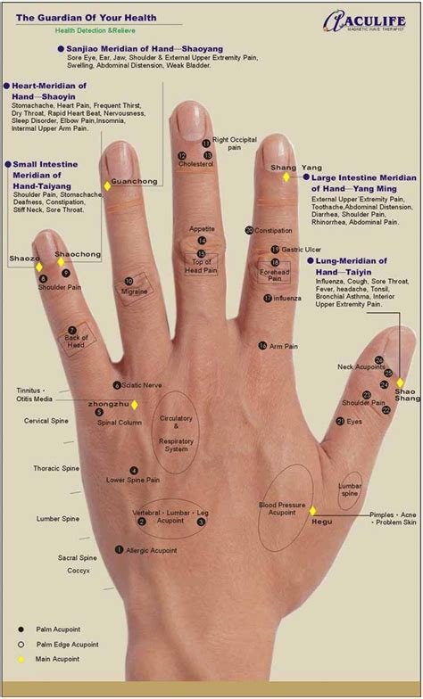 Acupuncture Hand Points Chart Ebook PDF