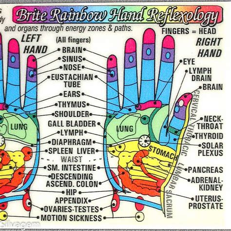 Acupuncture Hand Points Chart Ebook PDF