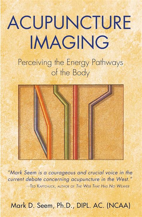 Acupuncture Imaging Perceiving the Energy Pathways of the Body Reader