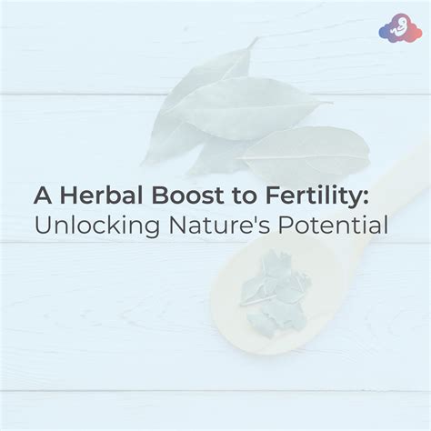 Acupuncture for Fertility: Unlocking Your Reproductive Potential