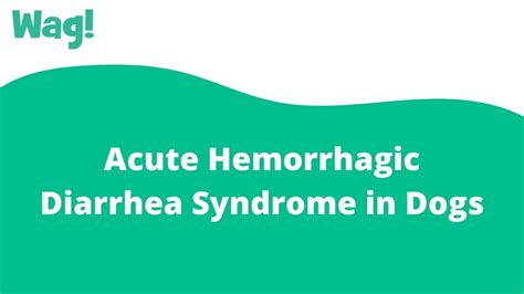 Acute Hemorrhagic Diarrhea Syndrome: A Comprehensive Examination