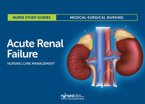 Acute Renal Failure PDF