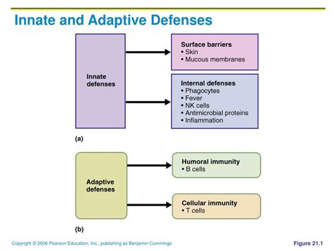 Adaptive defenses: