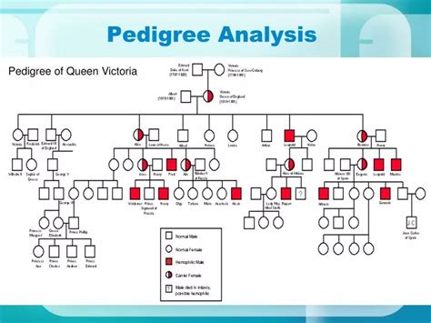 Addam Family Pedigree Analysis Genetics Ebook Reader