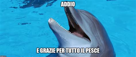 Addio e grazie per tutto il pesce Doc