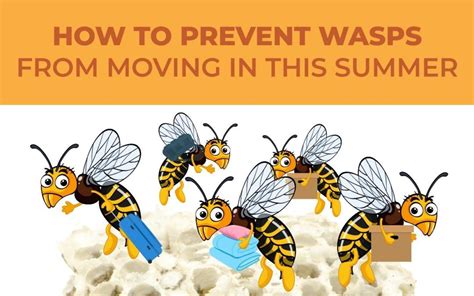 Additional Information: Wasp Control and Safety