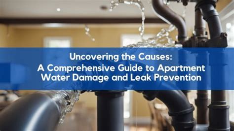 Addressing the Tana Rain Leak: A Comprehensive Guide to Causes, Mitigation Strategies, and Benefits