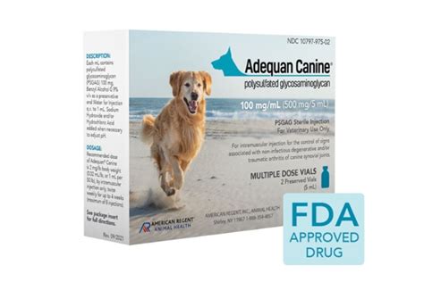 Adequan Injections for Dogs: The Complete Guide to Relieving Joint Pain