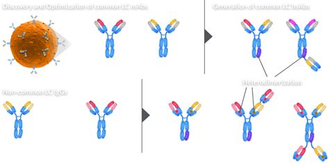 Adimab: