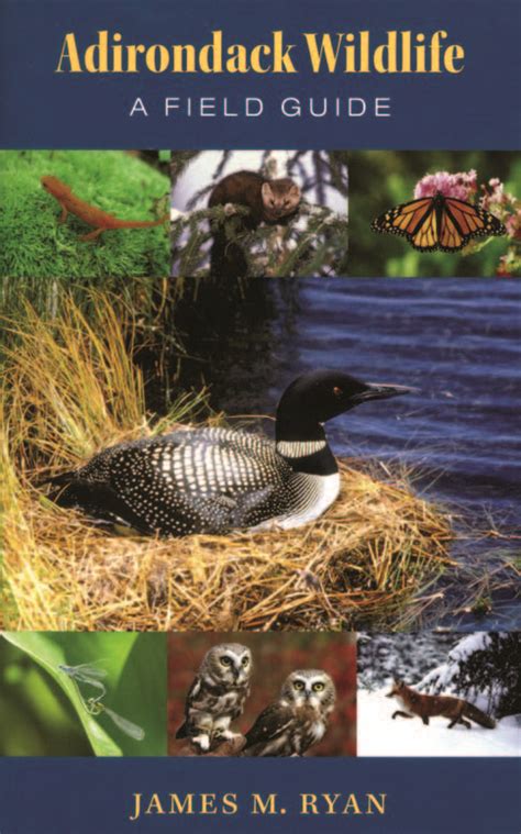 Adirondack Wildlife A Field Guide Kindle Editon