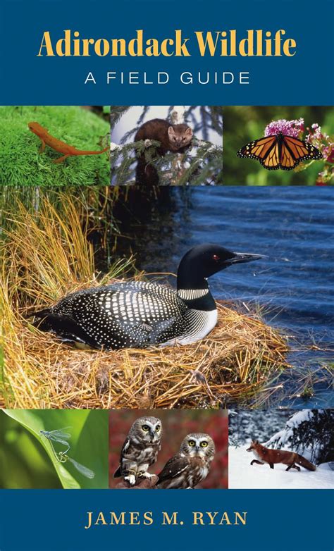 Adirondack Wildlife A Field Guide Epub