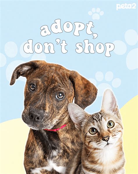 Adopt: