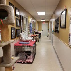 Adopt Naperville Animal Shelter: Your Guide to Saving a Life