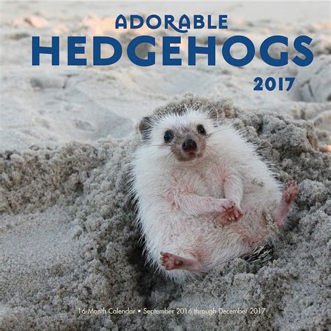 Adorable Hedgehogs 2017 16 Month September PDF