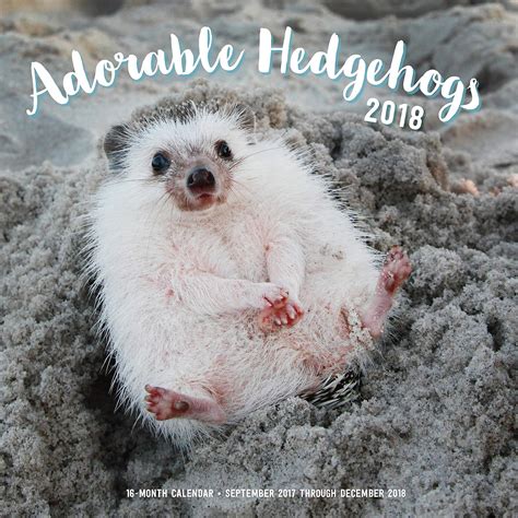 Adorable Hedgehogs Mini 2017 September Epub