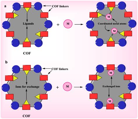 Adsorbents and Ion Exchangers: