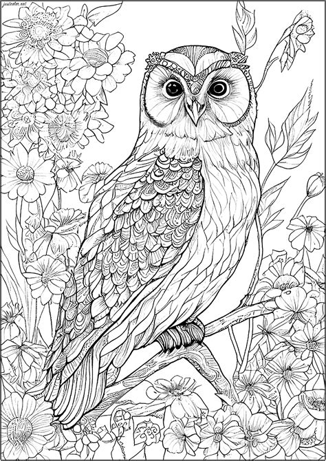 Adult Coloring Books Owls I Love It Coloring Books Volume 6 Reader